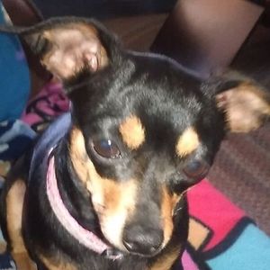 Meet your Posher, Paul